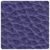 541 Violet Blue